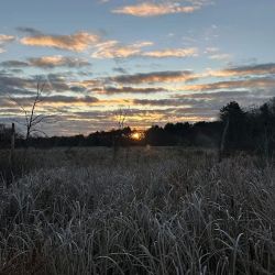 Wash Brook ico