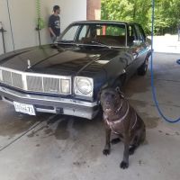 Double Bubble Auto Wash