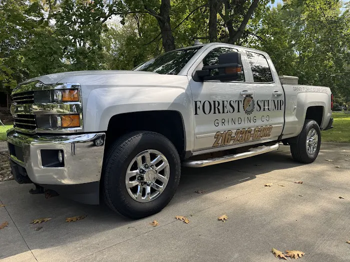 Johnny's Auto Spa & Detail 5