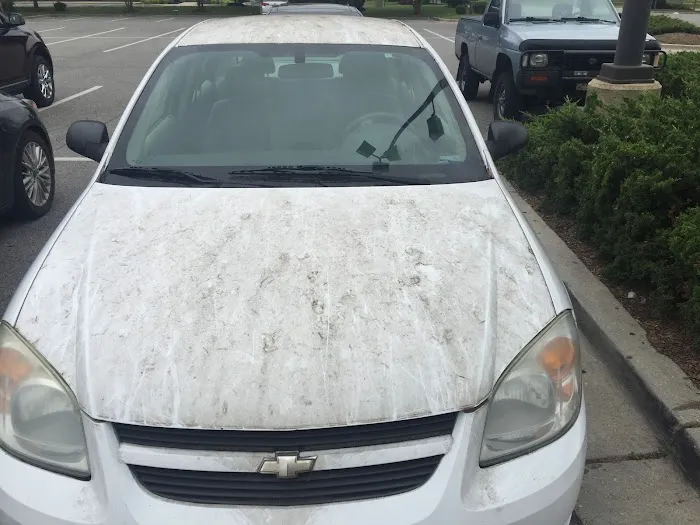 Speedy Clean 8