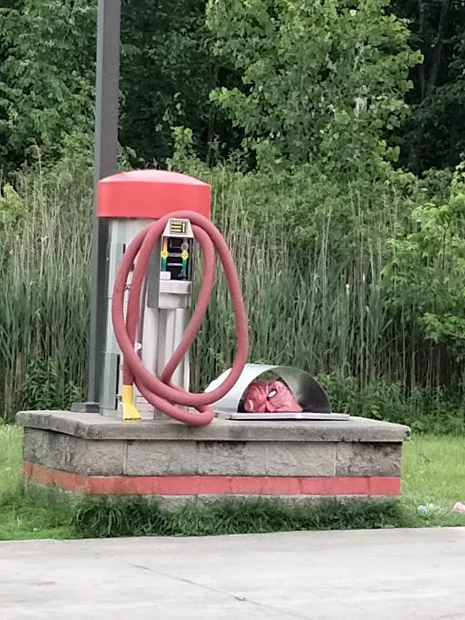 Viking Car Wash (Self-Service). 1