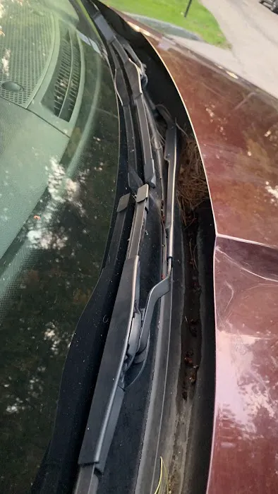 Rojo Interior and Exterior Car Wash 0