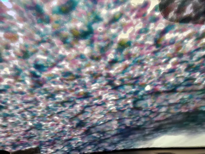 Magic Mist Auto Wash 9
