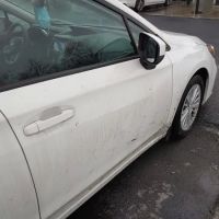 Whale-Of-A-Wash