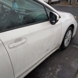 Whale-Of-A-Wash ico