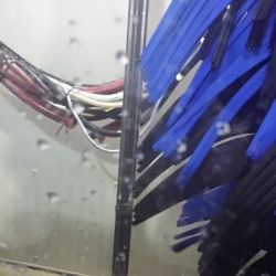 Speedy Clean Car Wash ico