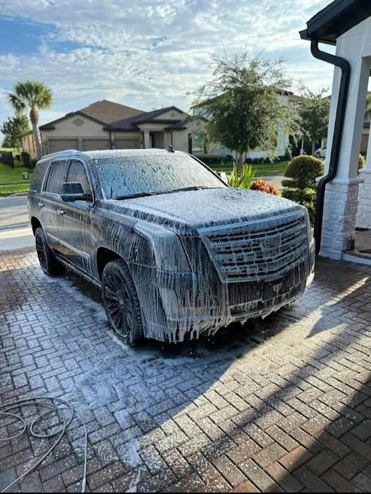SCORPIONS CAR WASH AT HOME🛻 2