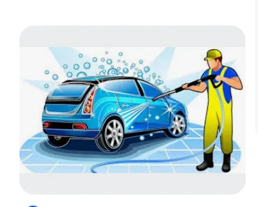 SCORPIONS CAR WASH AT HOME🛻 6