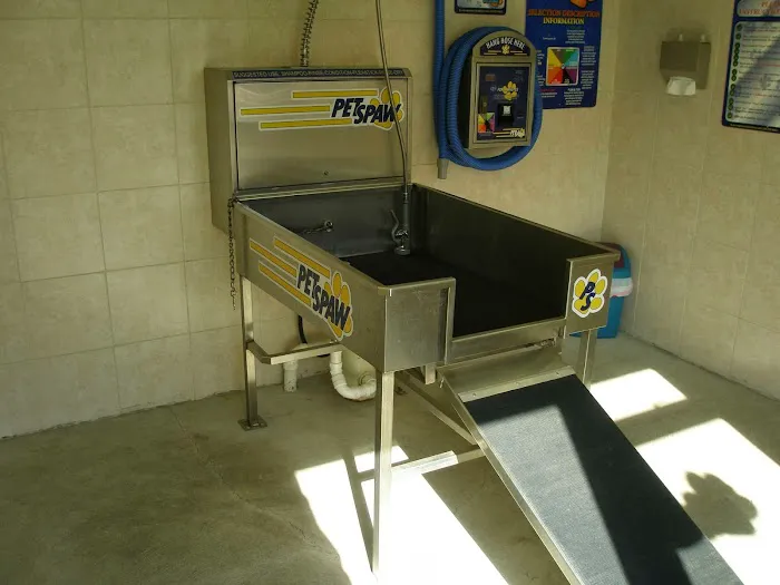 Wash Works Car and Pet Wash 3