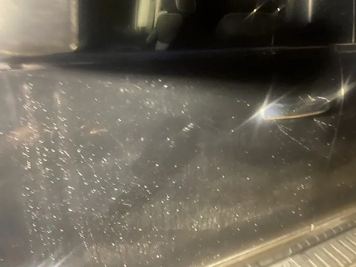 Sudsy's Auto Spa 6