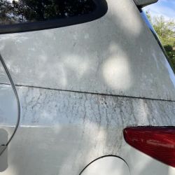 Nice N'Clean Car Wash ico