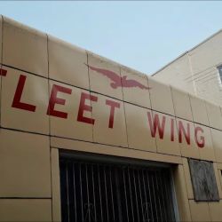 Fleet Wing ico