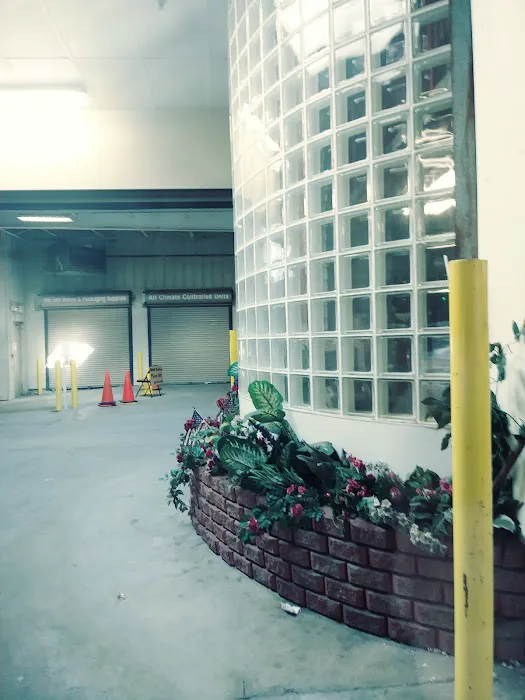 Super Shine Auto Wash 4
