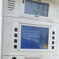 Shell ico