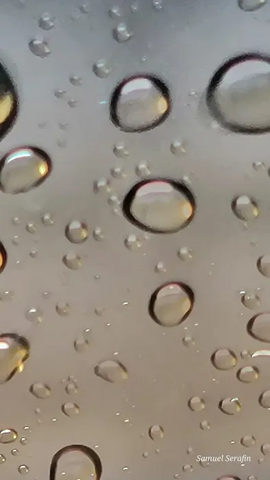 Magic Mist Auto Wash 6