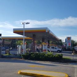 Shell ico