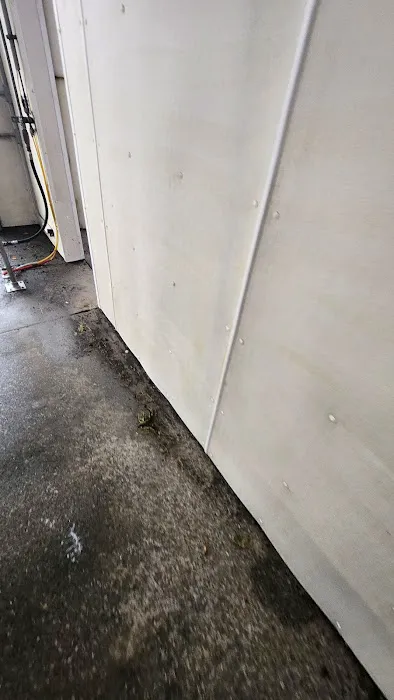 Magic Mist Auto Wash 9