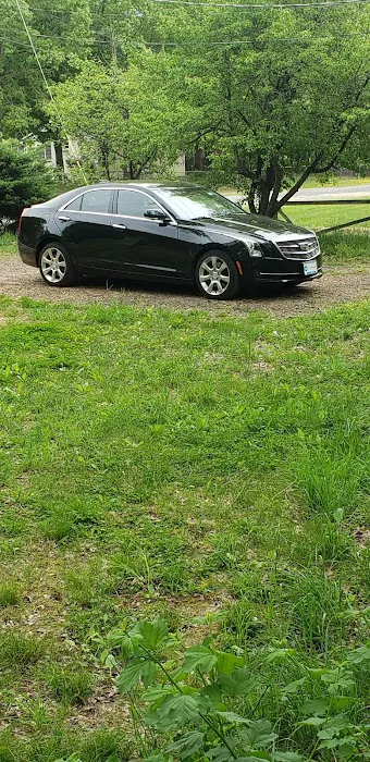Clean Puppy Car Wash 1