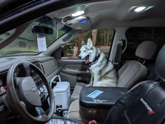 Clean Puppy Car Wash 0