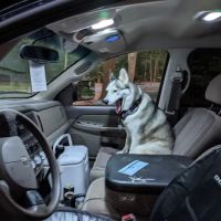 Clean Puppy Car Wash