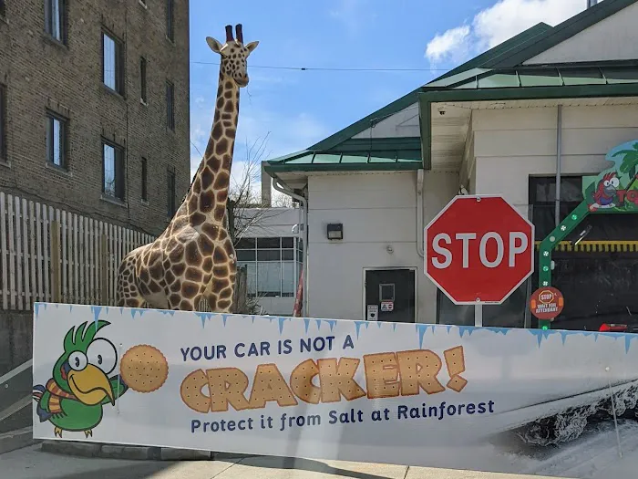 Whistle Express Car Wash 6