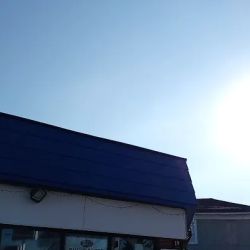 Gulf Oil ico