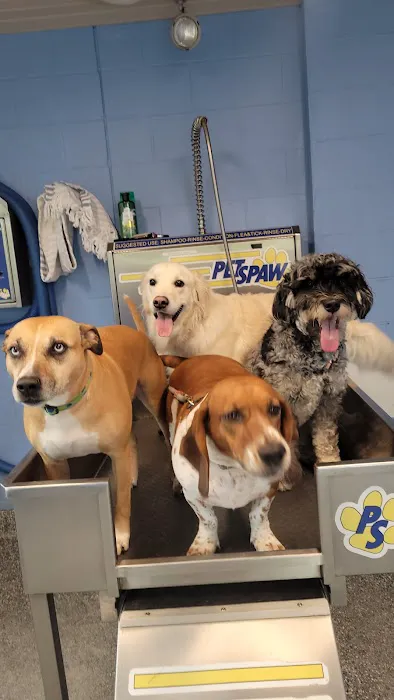 Quick Clean Car & Pet Wash Store, Ltd. 4