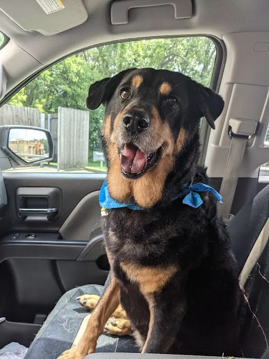 Quick Clean Car & Pet Wash Store, Ltd. 3