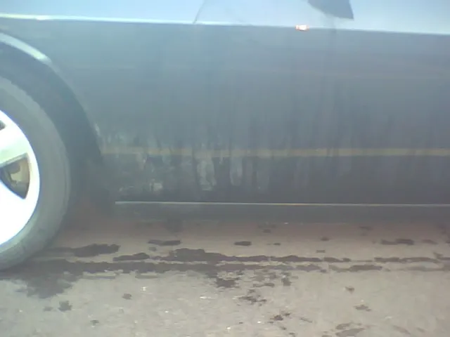 United Auto Wash 8