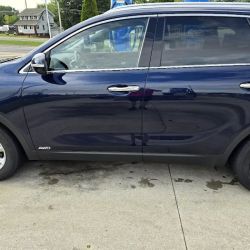 ProShine Car Wash ico