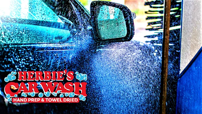 Herbie's Car Wash 9