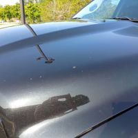 Audubon Laser Wash