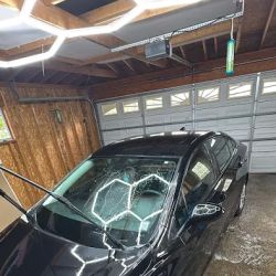 the detailing dude ico