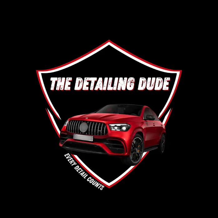 the detailing dude 6