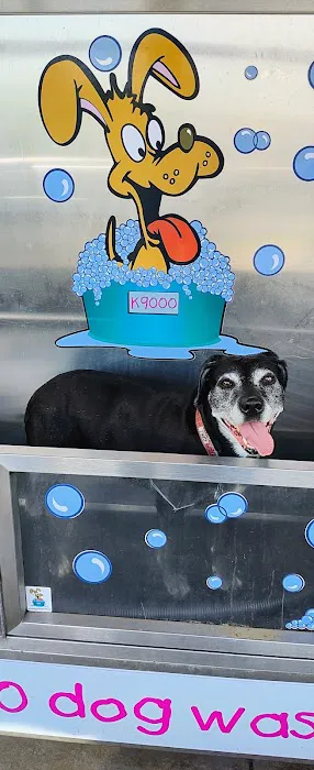 K9000 dog wash 0