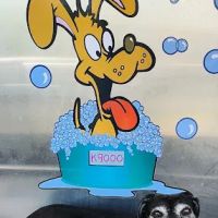 K9000 dog wash