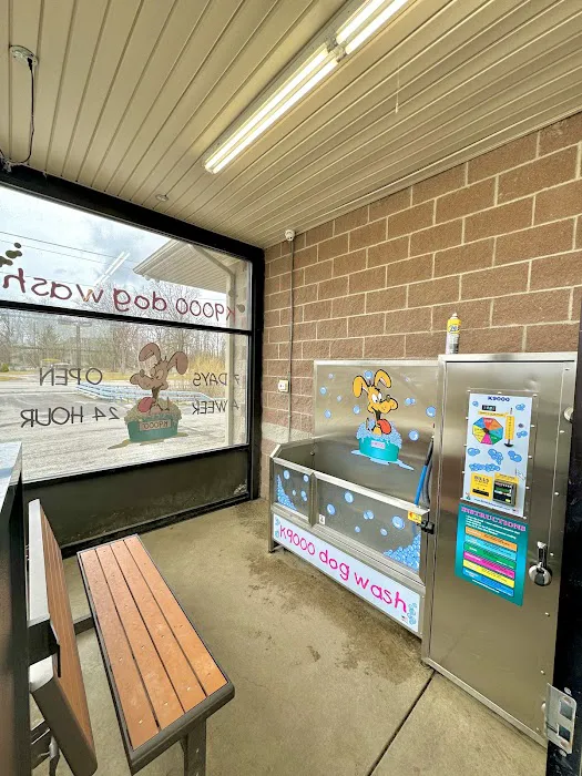K9000 dog wash 2