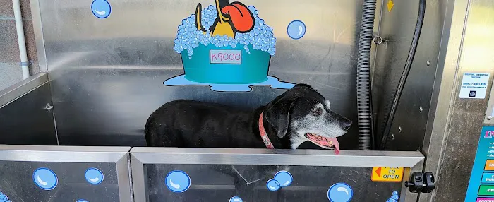 K9000 dog wash 5