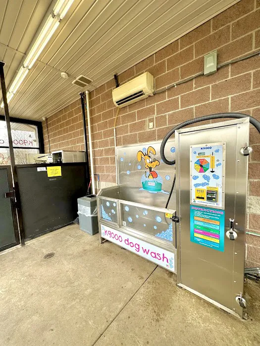 Platinum Carwash 9