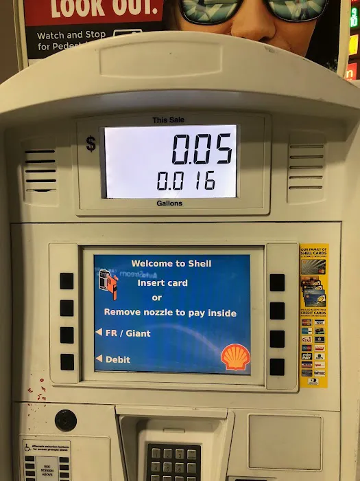Shell 1
