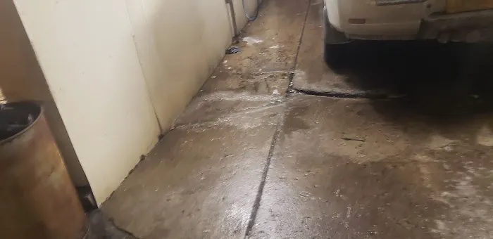 Rosie Bubbles Car Wash 0