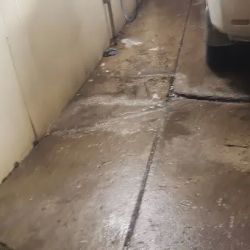Rosie Bubbles Car Wash ico