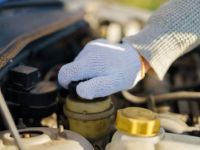 The Ultimate Guide to Checking Your Car's Fluid Levels