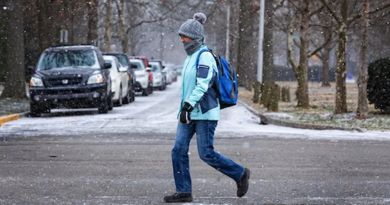 Tips for Safe Driving in Areas with High Pedestrian Traffic