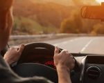 Tips for Safe Driving Around Roadkill | Stay Alert and Avoid Accidents