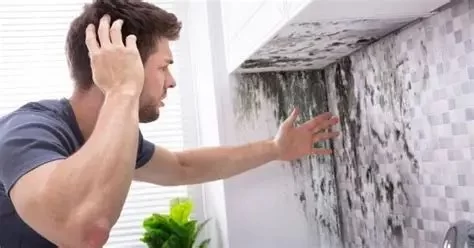 How to Prevent Interior Mold During Humid Weather or Rainy Seasons