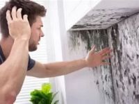 How to Prevent Interior Mold During Humid Weather or Rainy Seasons