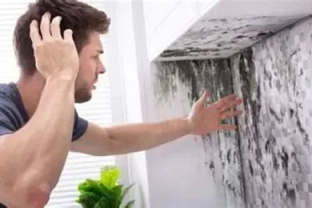 How to Prevent Interior Mold During Humid Weather or Rainy Seasons