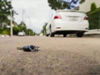 What to Do If You Lose Your Car Keys Far From Home — Spare Keys, Locksmiths, and Roadside Options